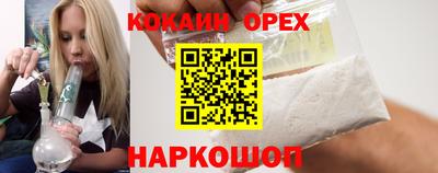 спиды Кингисепп