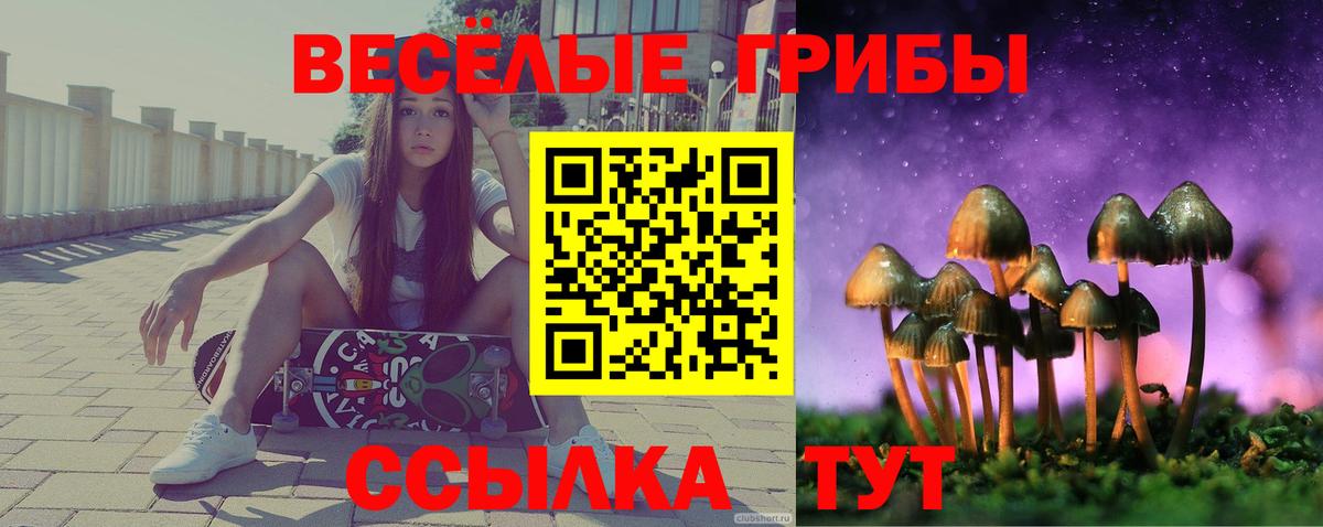 Галлюциногенные грибы Psilocybine cubensis  Вход с VPN  Чайковский 